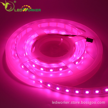 Bluetooth Smart Light WiFi 5050 RGB LED Strip Lights for Home